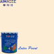 Decorative Paint Manufacturer for Wall Finishes